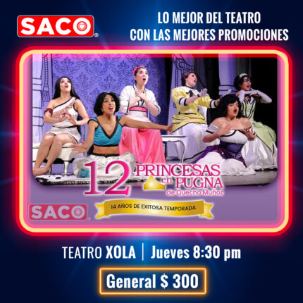 12 Princesas en Pugna
