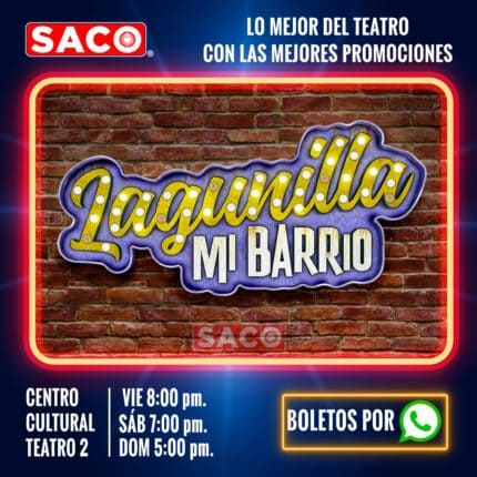 Lagunilla mi barrio